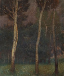 Paysage arboré de Basse-Autriche