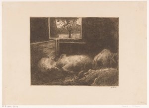 Cochons dans une étable