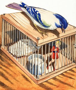 Tom Pouce dans une cage à oiseaux - Eduardo Teixeira Coelho
