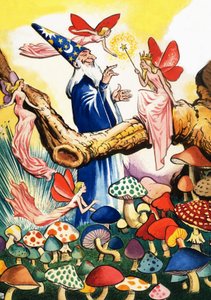 Le magicien dans la forêt de champignons