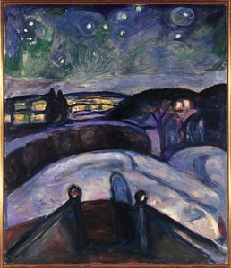 Nuit étoilée à Oslo
