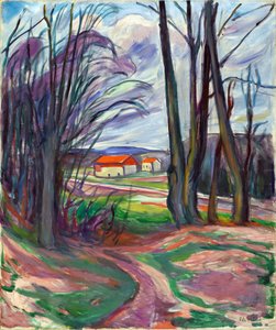 Paysage à Skoyen