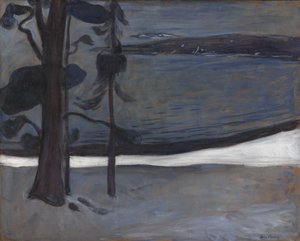 Hiver à Nordstrand