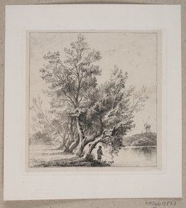 Saules près du fossé de la ville
