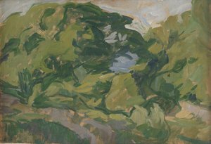 Paysage, Christiansø