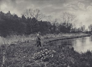 Les premières renoncules du printemps - Edward Alfred Barton