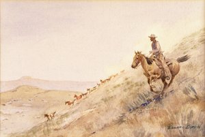 Rassemblement de chevaux