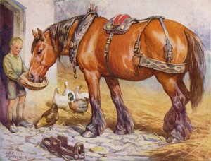 Garçon nourrissant un cheval dans une cour de ferme