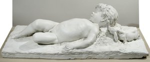 Faune Endormi