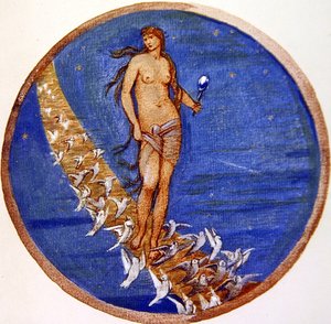 Le livre des fleurs : V. Rose du ciel