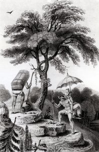 Vue du col de Quindio, illustration de 
