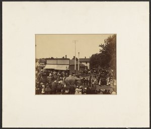 [Les éléphants traversent la ville, Maple City]