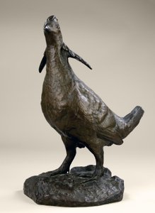 Poulet des prairies