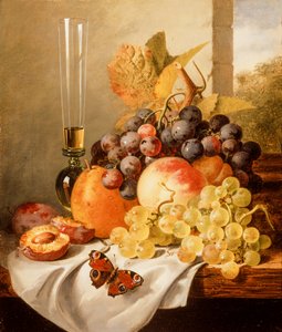 Fruits sur un rebord drapé avec un vulcain