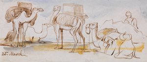 Chameaux - Edward Lear