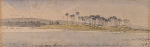 Île de Dhoura - Edward Lear