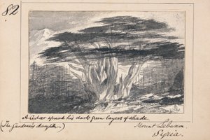 Illustration de la "Fille du jardinier" de Tennyson : "Le Mont Liban en Syrie - Un cèdre étend ses couches vertes et sombres à l