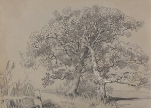 North Stoke. 21 octobre 1834. - Edward Lear