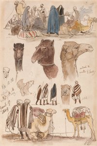 Hors des murs de Suez, 8h30, 17 janvier 1849 (54) - Edward Lear