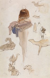 Études sur les chameaux - Edward Lear