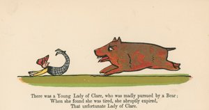 Il y avait une jeune dame de Clare, qui était follement poursuivie par un ours, tiré du 