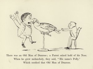 Il y avait un vieil homme de Dunrose; un perroquet lui saisit le nez - Edward Lear