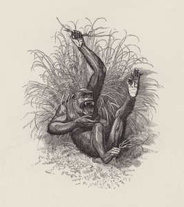 Illustration pour Les Enfants de l