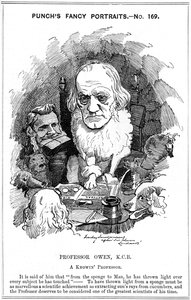 Richard Owen, zoologiste anglais, 1884 - Edward Linley Sambourne