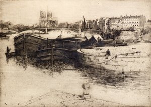 Vue de Notre-Dame depuis la Seine