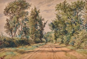Paysage avec route