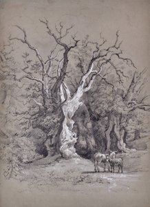 Paysage avec arbre - Edward Pretty