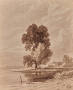 Paysage avec arbres - Edward Pretty