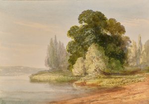 Paysage avec arbres - Edward Pretty