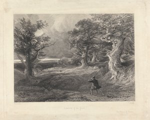Périphérie de la forêt - Edward Radclyffe