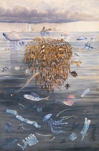 Vie marine dans l