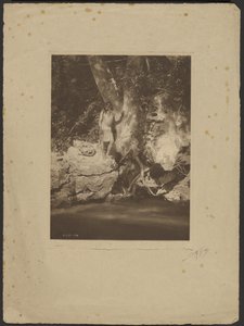 Apache-Black River (By the Sycamore) - Edward S. Curtis