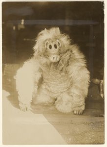 Dans le masque de loup - Edward S. Curtis