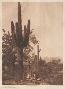 Portefeuille II, planches 40-75