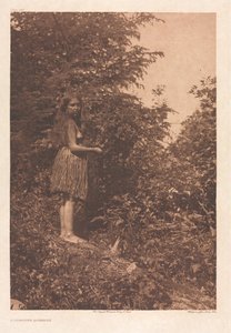 Portfolio IX, Planches 293-328