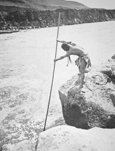 Les Chinook pêchant le saumon dans la rivière Columbia - Edward Sheriff Curtis
