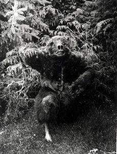 Nane-Qagyuhl, costume amérindien - Edward Sheriff Curtis