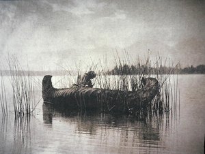 Le ramasseur de joncs, Montana - Edward Sheriff Curtis