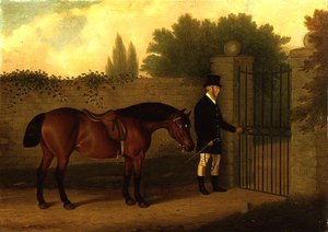 Un Gentleman Menant un Cob Gallois Près d