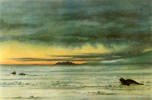 Regard vers le nord dans le détroit de McMurdo - Edward Wilson
