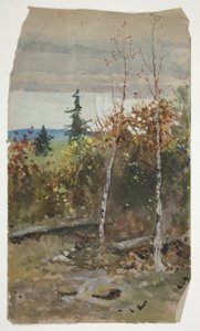 Paysage d
