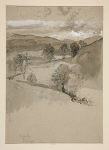 Paysage - Champs