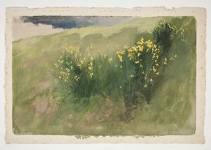 Paysage avec des fleurs sauvages