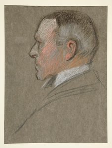 Profil gauche de la tête d