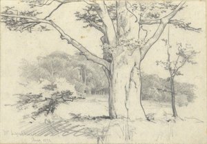 Près de Lyndhurst, août 1871