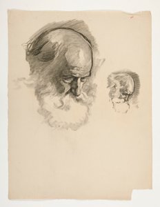 Étude de la tête d